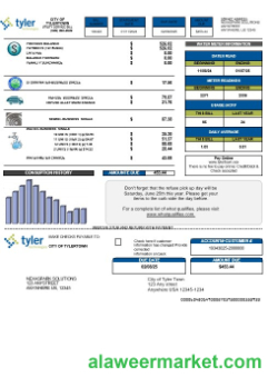 USA Tyler Technologies business utility bill template in Word and PDF formats